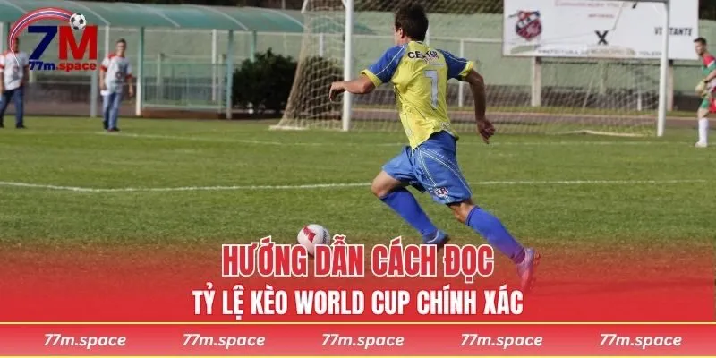 Cách đọc tỷ lệ kèo World Cup chính xác từ chuyên gia