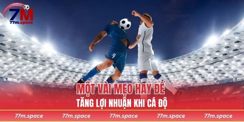 Một vài mẹo hay để tăng lợi nhuận khi cá độ 